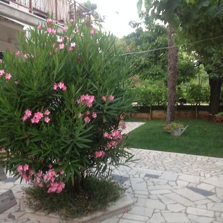 Vila Alma Пореч Экстерьер фото
