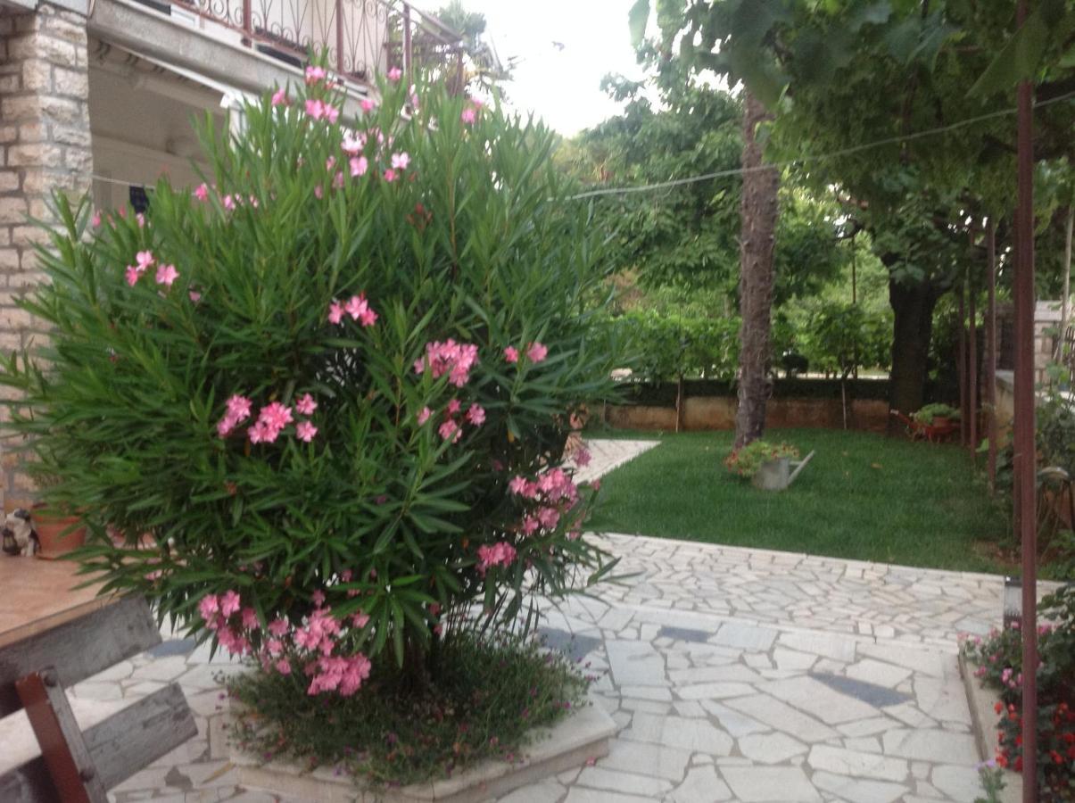 Vila Alma Пореч Экстерьер фото